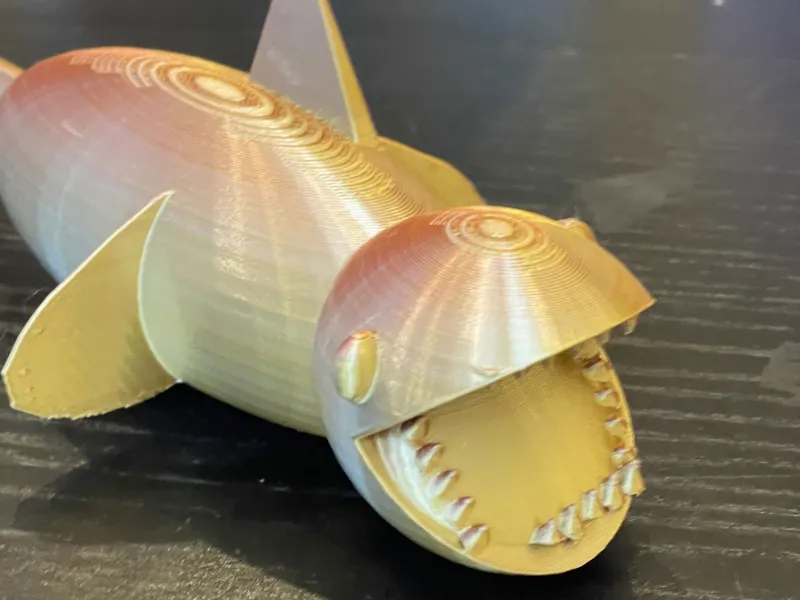 Shark because why not