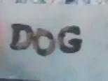 DOG LOVER pt 1