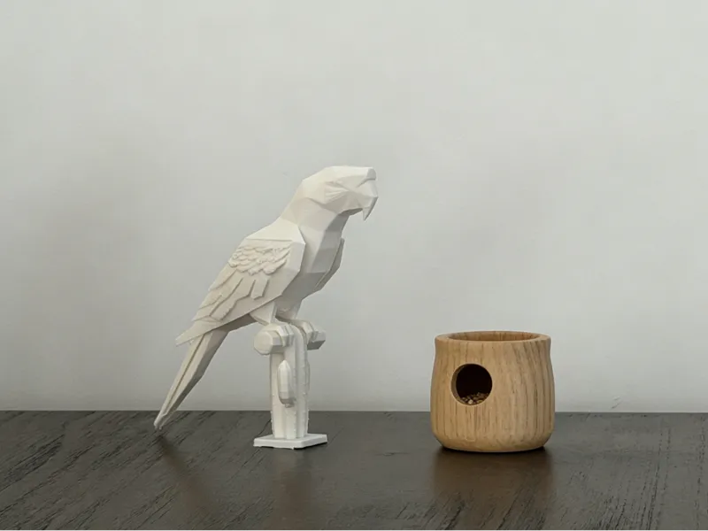 低面数鹦鹉  多切面鹦鹉  模型