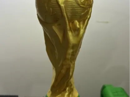 world cup