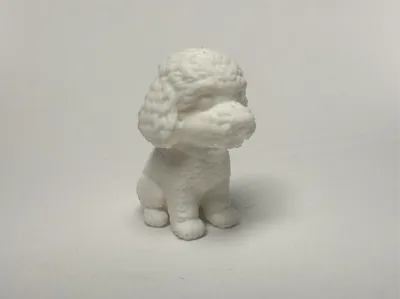 Theo The Labradoodle
