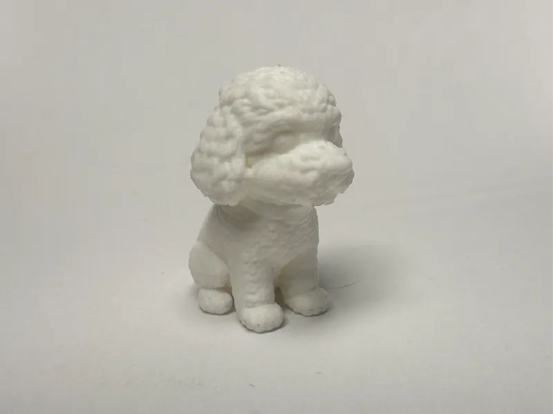 Theo The Labradoodle