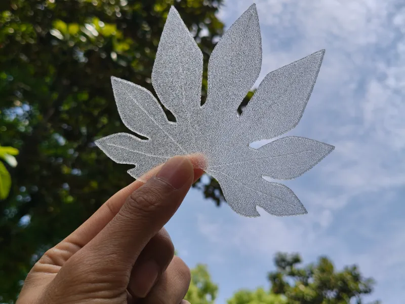 书签树叶透明