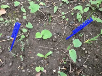 Easy plant stakes