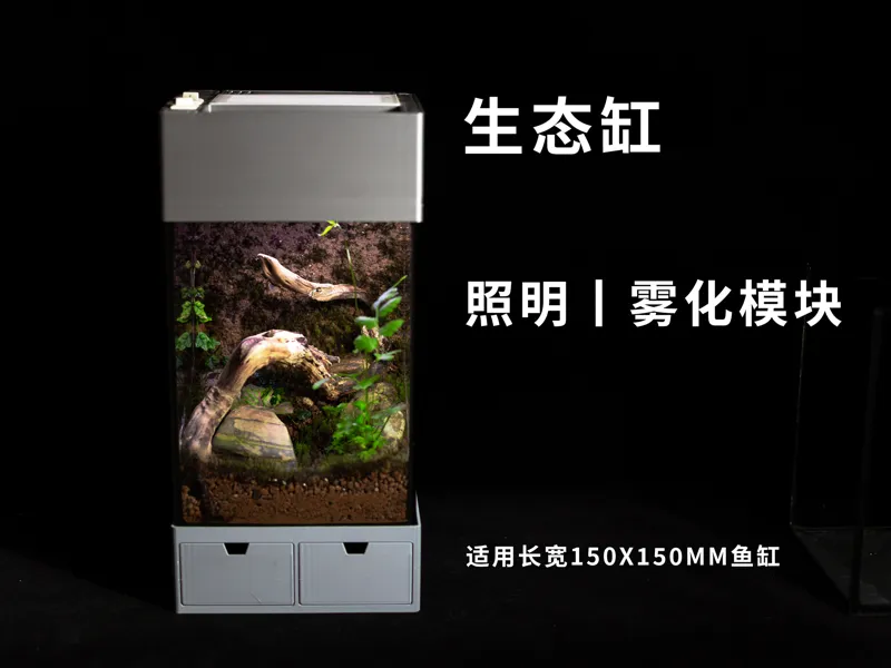 生态缸丨照明丨雾化丨收纳