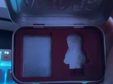 Pocketfigure Case