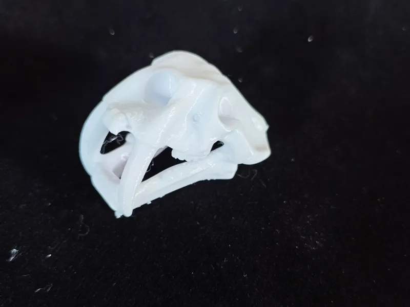 考古 挖掘 动物 头骨 模型 鳄鱼 猛犸象 盘羊 化石 儿童diy 手工 玩具 一键打印 可上色