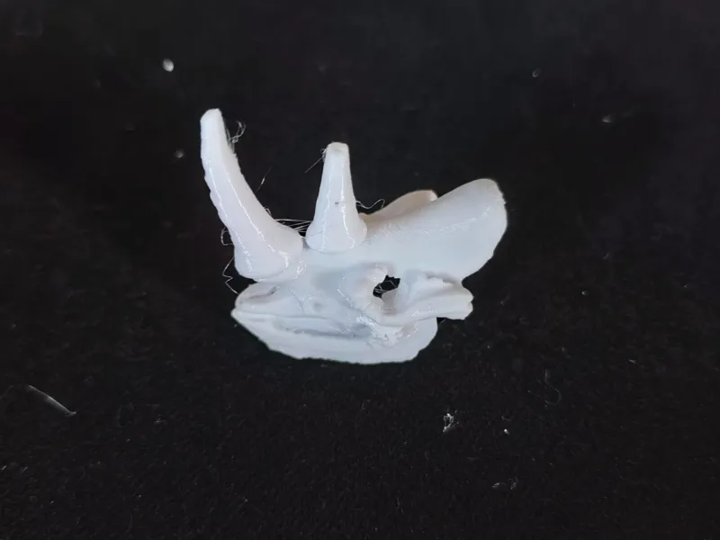 考古 挖掘 动物 头骨 模型 鳄鱼 猛犸象 盘羊 化石 儿童diy 手工 玩具 一键打印 可上色