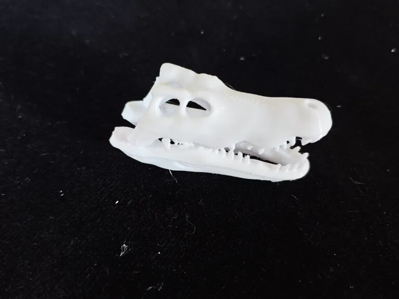 考古 挖掘 动物 头骨 模型 鳄鱼 猛犸象 盘羊 化石 儿童diy 手工 玩具 一键打印 可上色