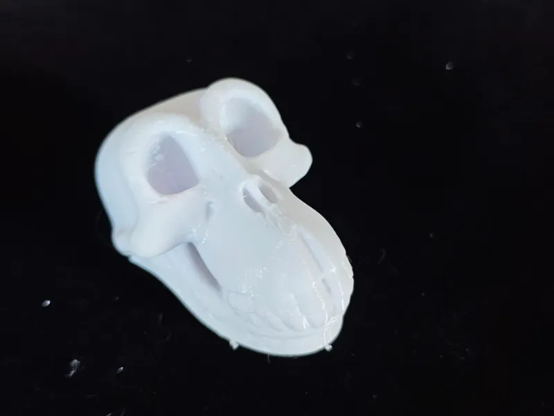 考古 挖掘 动物 头骨 模型 鳄鱼 猛犸象 盘羊 化石 儿童diy 手工 玩具 一键打印 可上色