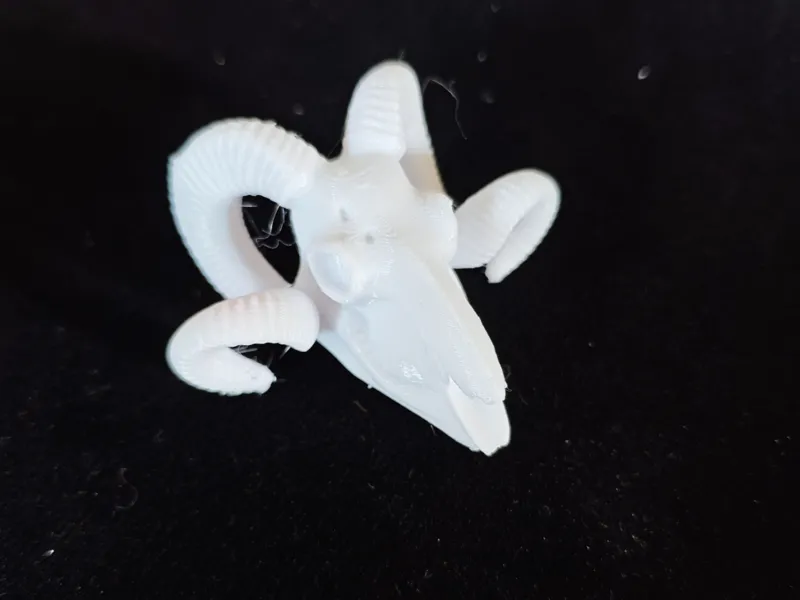 考古 挖掘 动物 头骨 模型 鳄鱼 猛犸象 盘羊 化石 儿童diy 手工 玩具 一键打印 可上色