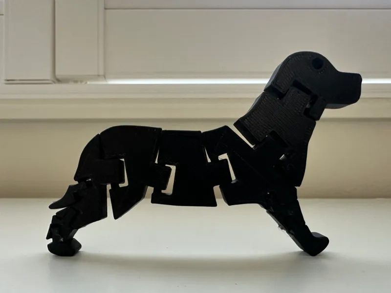 Fun flexi Dog