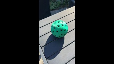 Nosework /scentwork ball