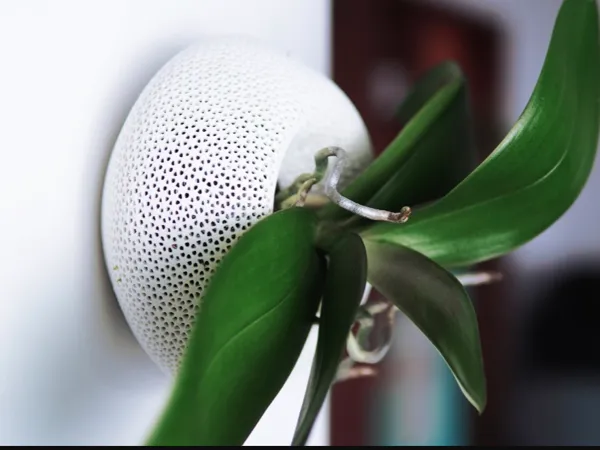 https://makerworld.bblmw.com/makerworld/model/DSM00000002871762/design/b440c3368c570a44.jpeg