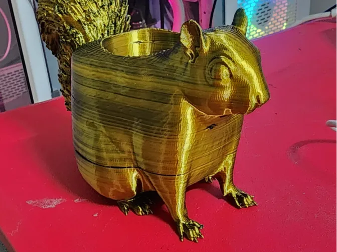 Squarrel