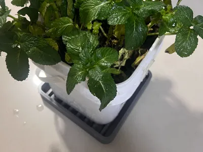 Laundry Detergent Bucket 'Rebirth' Project: Special Base Tray for Square Flower Pots