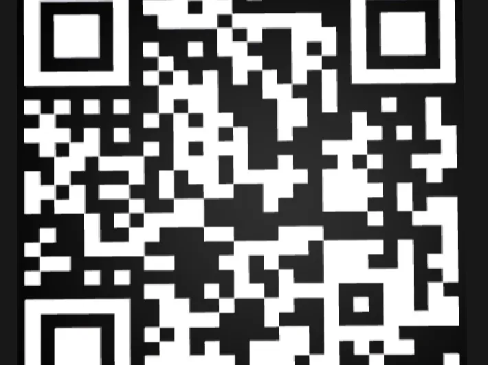 QR CODE 