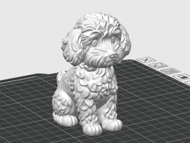 Cute Dog