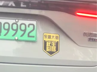 此生必驾东盛大街（可自定义街道）