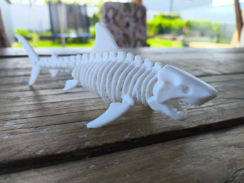 SHARK SKELETON v1 