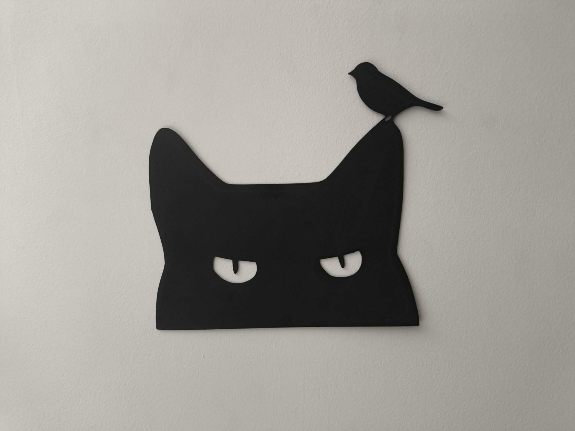 cat v2