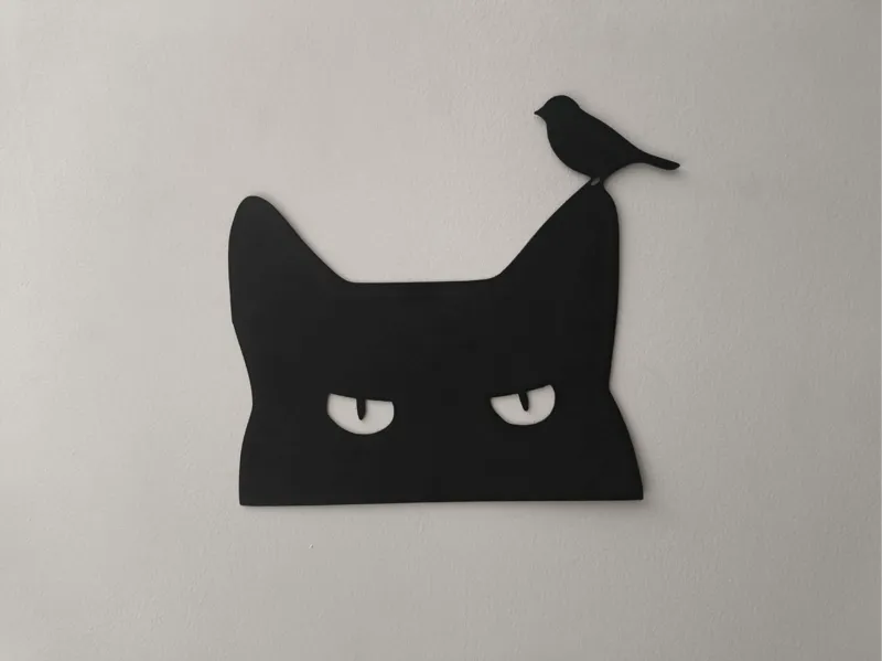 cat v2
