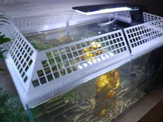 鱼缸防跳网