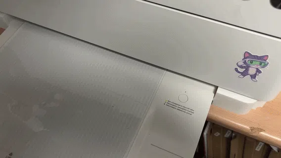IMG_1250.MOV [video-to-gif output image]
