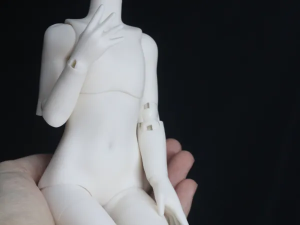 https://makerworld.bblmw.com/makerworld/model/DSM00000002882773/design/09a8eff10edeca24.jpg