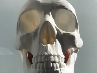 SkullTidy