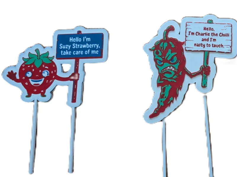 Child Friendly Plant Labels