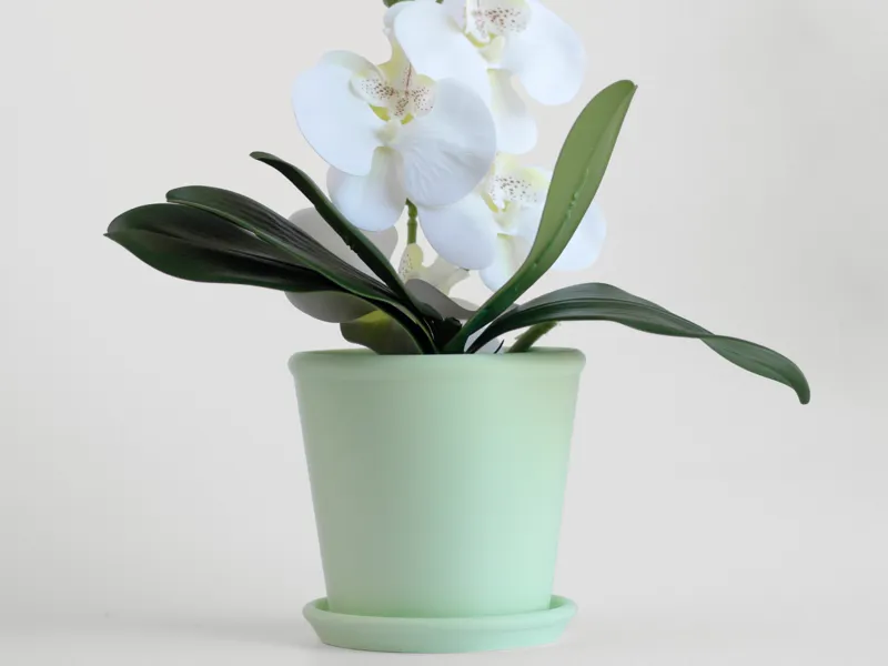 Classic Planter with Saucer - basic
