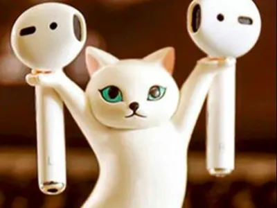 Cat holder