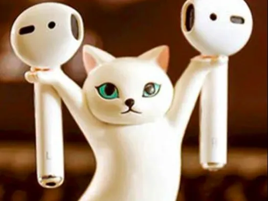 Cat holder