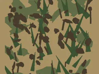 Florida Camo Stencil Set