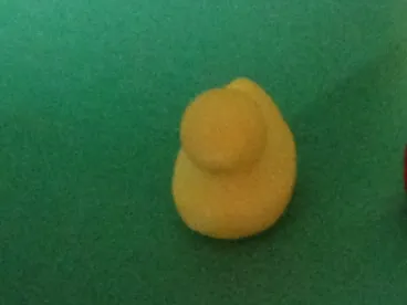 duck