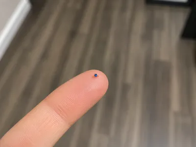 SMALL THINGY GUY