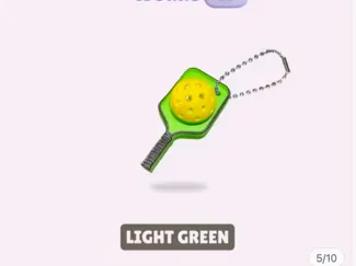 Pickleball Keychain
