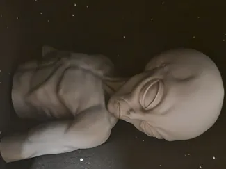 ALIEN Gray, Area 51. Drowing generated Model.