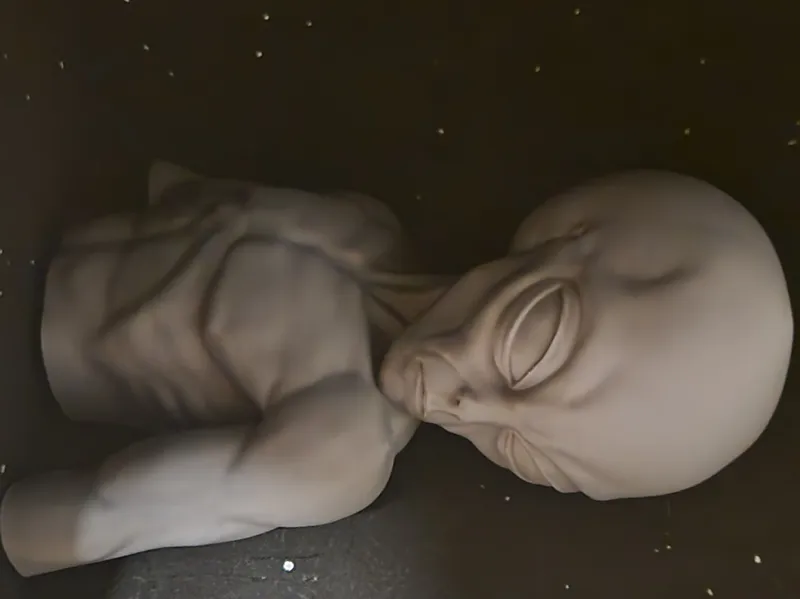 ALIEN Gray, Area 51. Drowing generated Model.