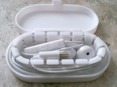 Case for earphones with microphone