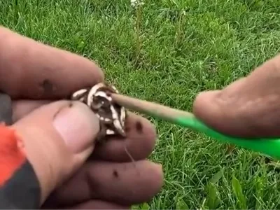 Detecting Cleaning Tool