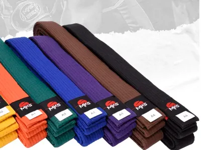 jiujitsu belts