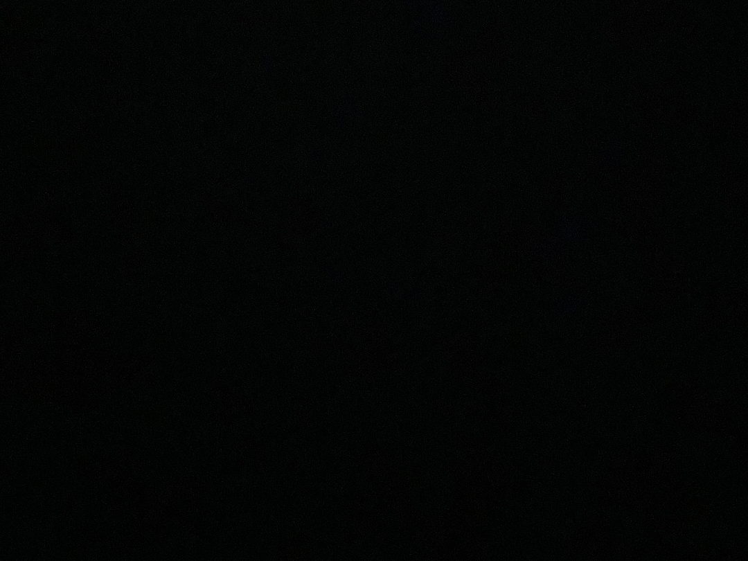 A1