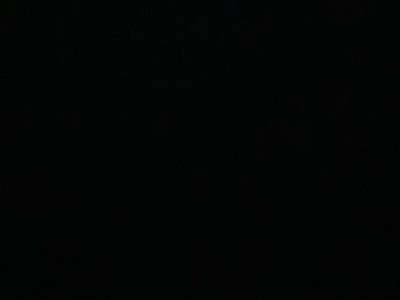 A1