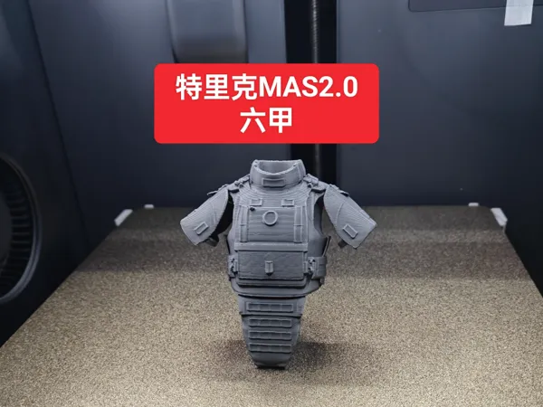 https://makerworld.bblmw.com/makerworld/model/DSM00000002896721/design/19d000bf3c9fe5cf.jpg
