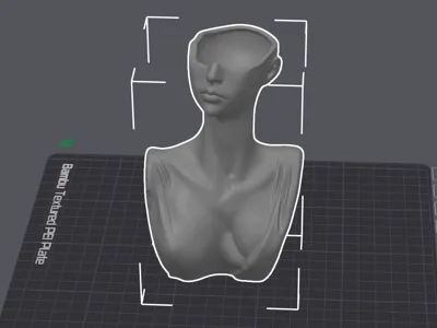 Silhouette Sculpture