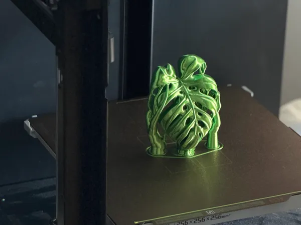 https://makerworld.bblmw.com/makerworld/model/DSM00000002900189/design/29cee919d3f395b7.jpg