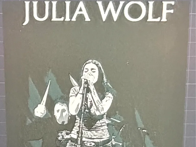 Julie wolf in concert