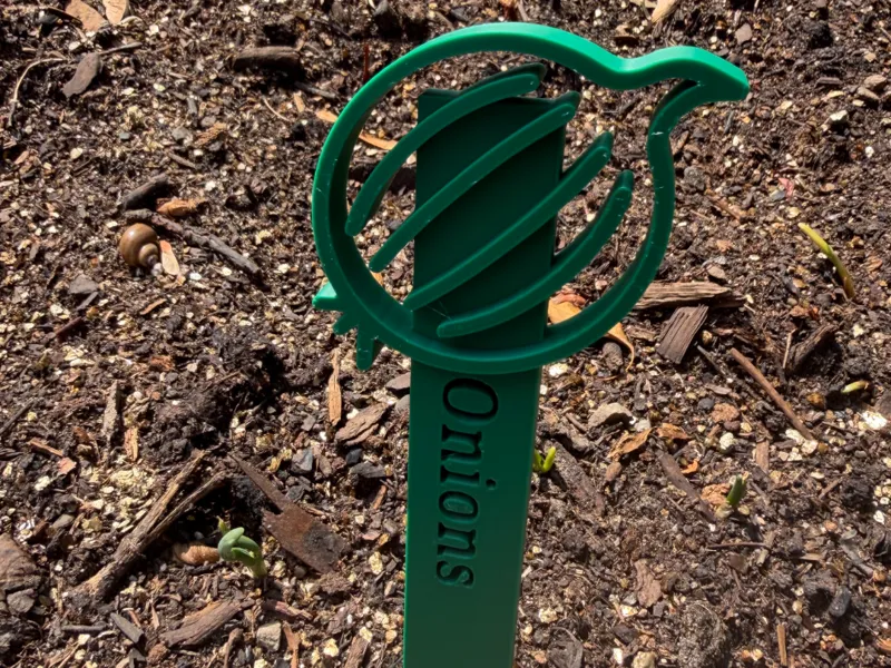Onions Garden Stake